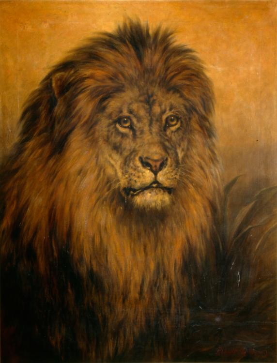 Oil painting of a lions head by Robert Morley.